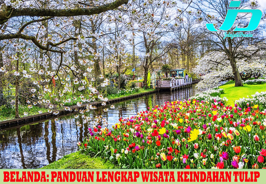Belanda: Panduan Lengkap Wisata Keindahan Tulip