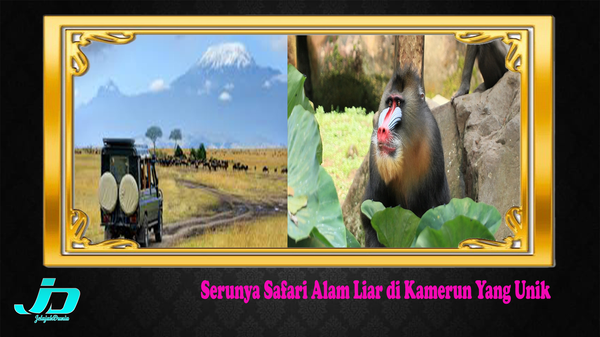 Serunya Safari Alam Liar di Kamerun Yang Unik
